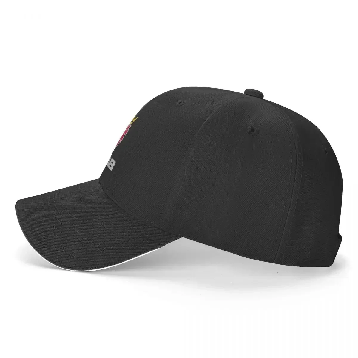 Saab logo products Baseball Ca - Golf Equipment Rental ulasan dan harga